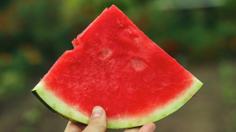 A hand holding a large slice of watermelon.