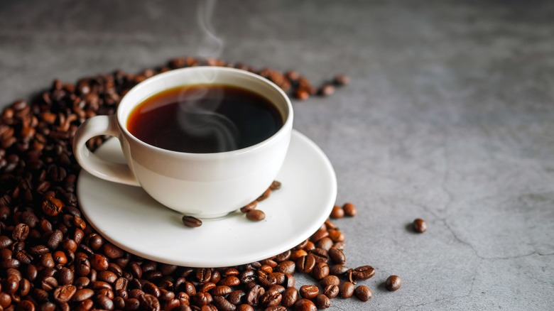 Exterior of a Dollar Tree store on a sunny day