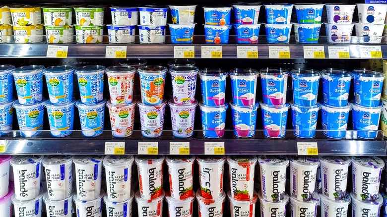 Yogurt brands on grocery store shelf
