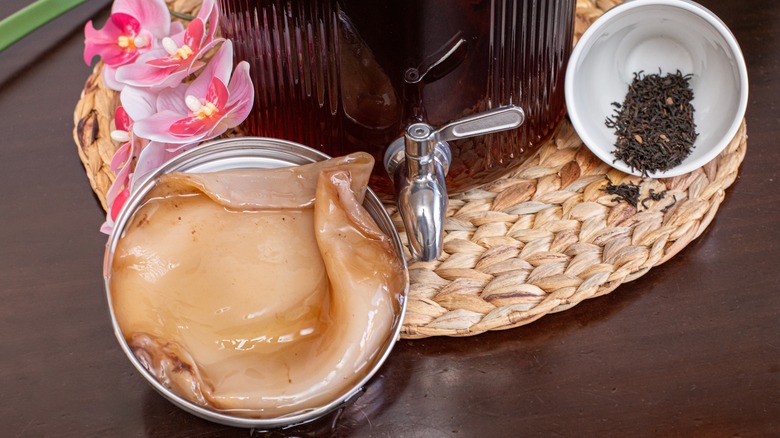 Tea and tea leaves aside a jar containing a large SCOBY