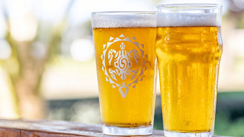 Two pints of beer in the daylight