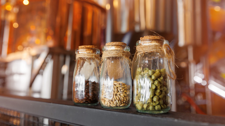 Grains and hops in jars at a brewery