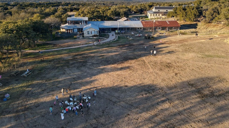 Aerial view of Jester King Brewery in sprawling field surrounded by trees