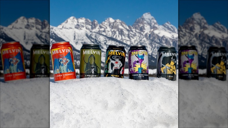 Row of cans of Melvin beer in the snow