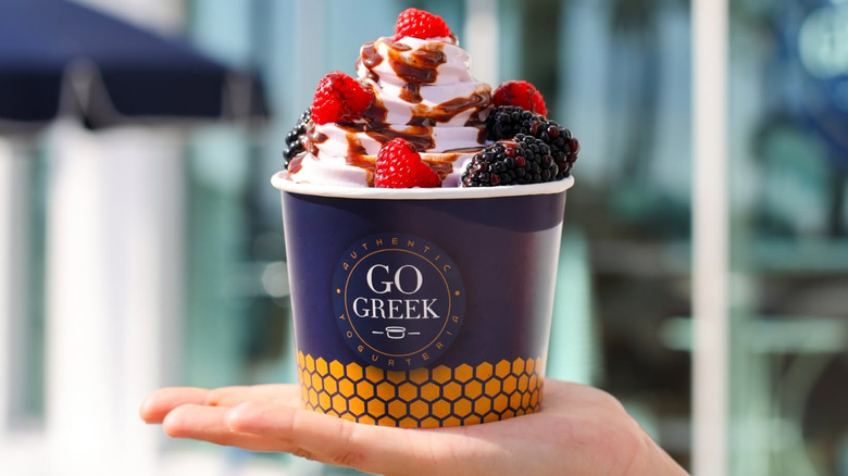 hand holding a cup of go greek froyo topped with chocolate syrup and fresh berries