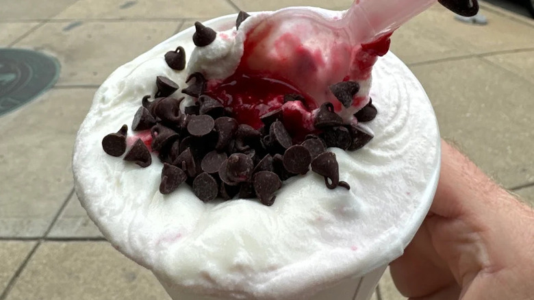 creamy cup of froyo topped with chocolate chips and a red sauce