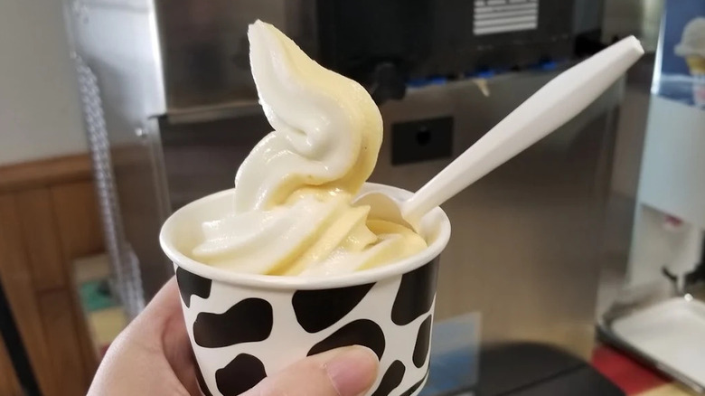hand holding a cow themed paper cup of plain froyo with a plastic spoon in it