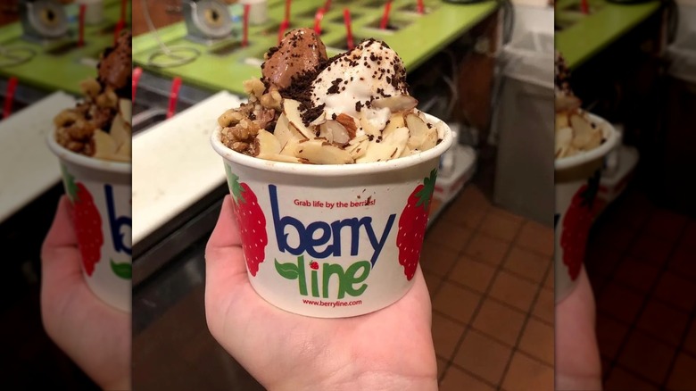 cup of frozen yogurt with nut toppings and sprinkles of chocolate