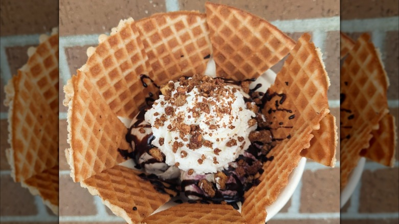 Wild Scoops ice cream in waffle cone