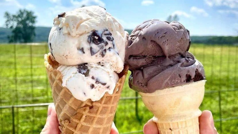 Two ice cream cones in front of a field in background at Robbs Farm LLC