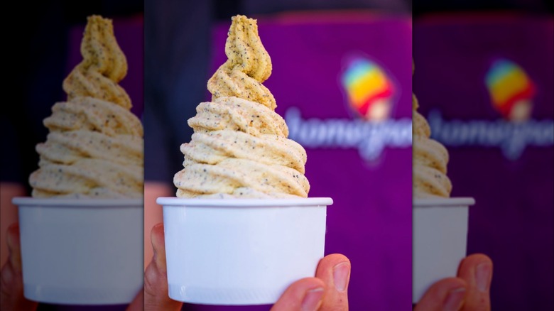 cup of ice cream from Homegrown Cone