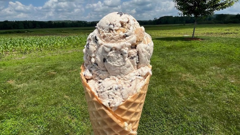 Hayward's Family Ice Cream ice cream cone close up with pasture land in background