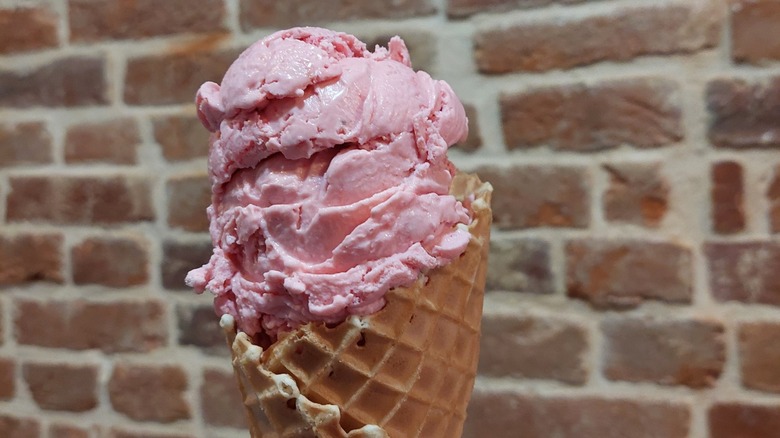 Mr. G's Ice Cream cone close up in front of brick wall in background
