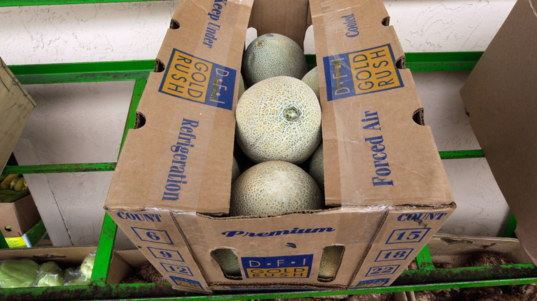 Cantaloupe are seen in a box on display in a produce market. The CDC reported that cantaloupe from Jensen Farms in Colorado have the bacterium listeria. The outbreak killed 33 people.