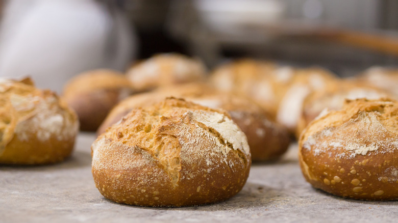 A tray of golden brown, fresh-baked sourdough loaves with crackly crusts