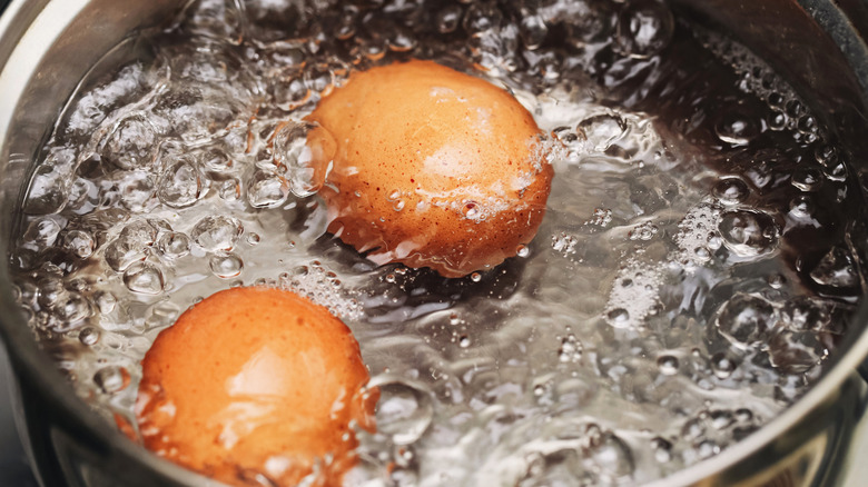 Brown eggs in a pot of hot water
