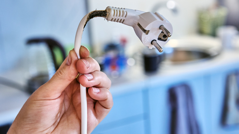 Hand holding a burned extension cord in a kitchen