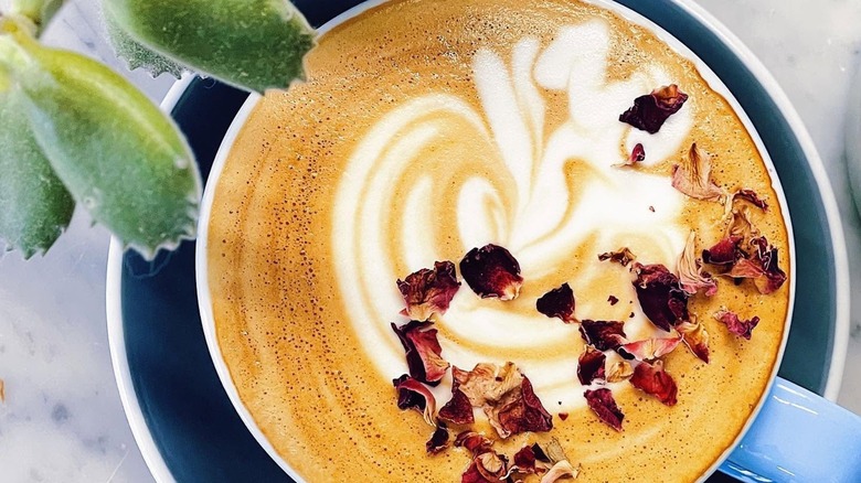 White chocolate dipped strawberry latte from Little Wolf, viewed from above, sitting beside a plant
