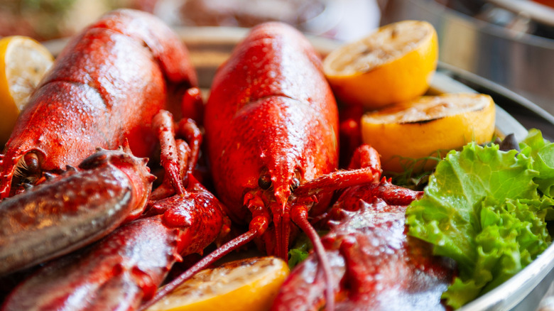 Two steamed lobsters on a plate with lettuce and lemons