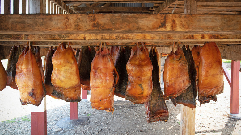 Hakarl drying and aging from rafters