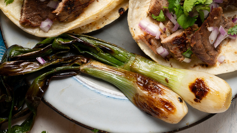 Grilled cambray onions on a plate with tacos