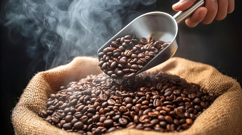 Coffee beans in a sack with a scoop