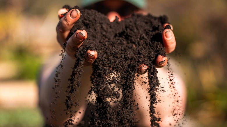 A person holds a mound of soil with their bare hands