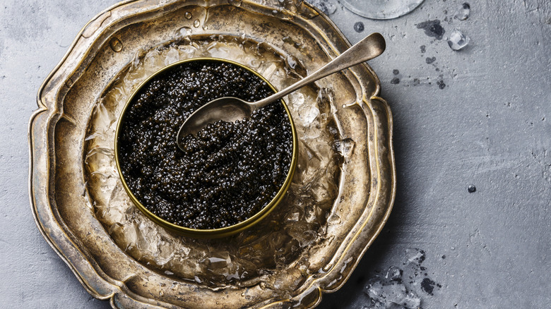 Black Sturgeon caviar in can on brass plate with ice placed atop concrete surface.