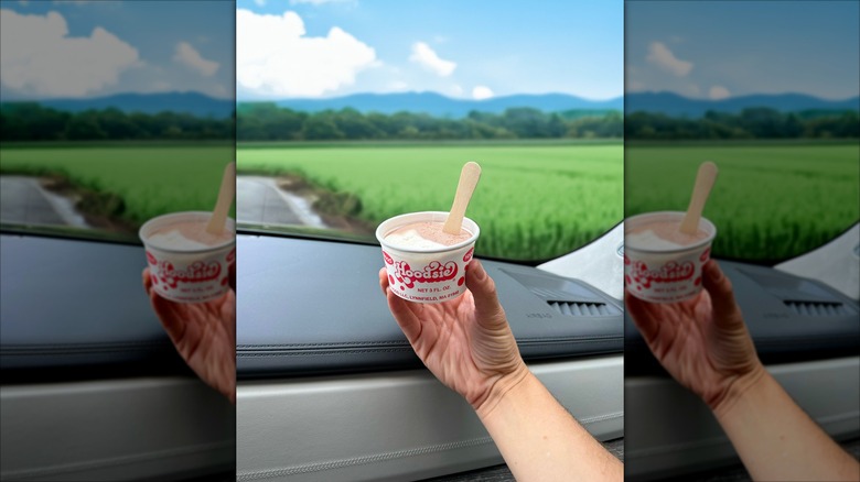 Hand holding a Hoodsie Cup in the front seat of a car looking forward out of the windshield