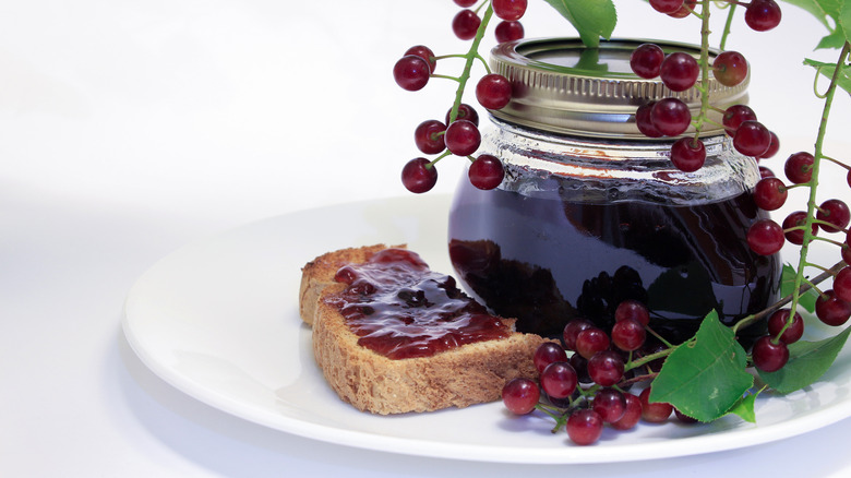 Chokecherry jelly beside a slice of toast with jelly on it and berries hanging in frame