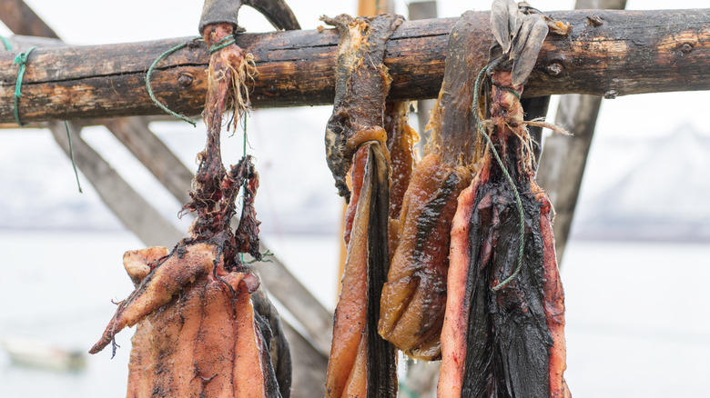Seal bodies drying on wooden rack in Kangerluk, Greenland