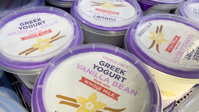 White tubs of Trader Joe's vanilla bean Greek yogurt