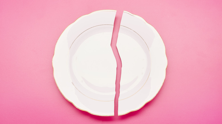 A white plate that's broken into two pieces