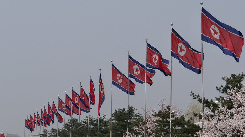 A row of North Korean flags in Pyongyang