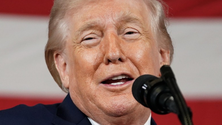 Donald Trump speaks into a microphone in front of an American flag