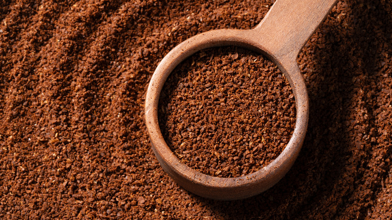 Close up of ground coffee and wooden spoon