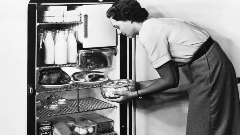 Vintage portrait of a woman reaching into a fridge for a chilled dish