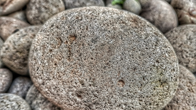 A pile of natural pumice rocks