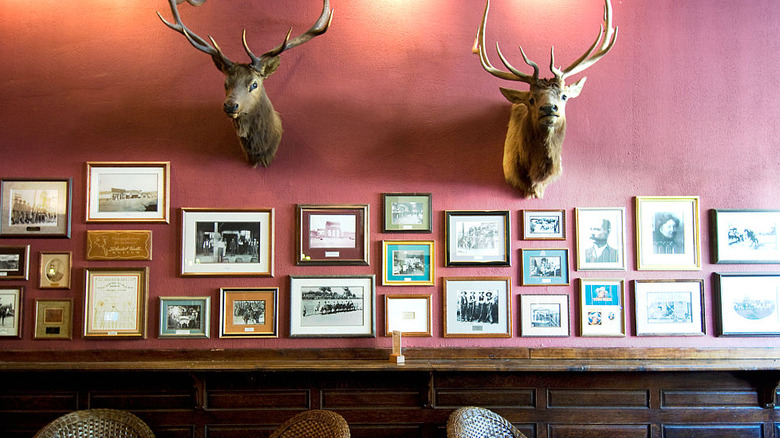 framed photos and taxidermy at Palace Restaurant and Saloon in Arizona