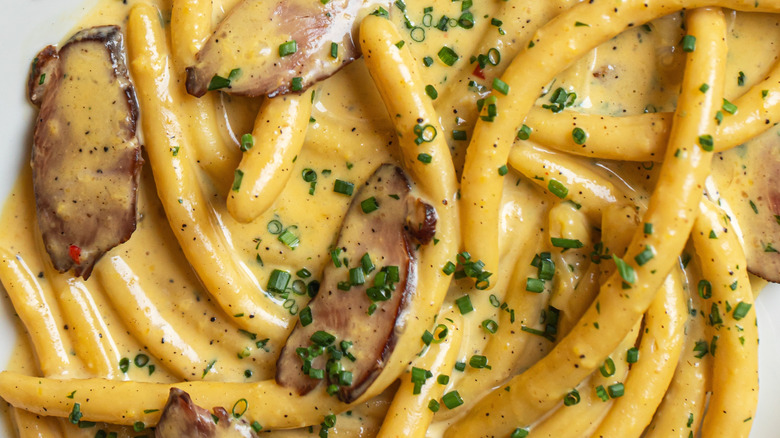 A close up of bucatini pasta in a cheese and meat sauce