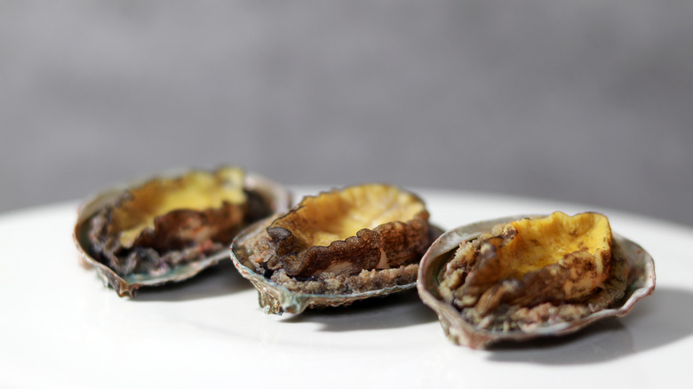 Abalone on white shells