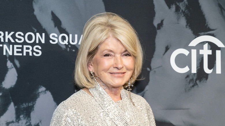 Martha Stewart attends the Hudson River Park Friends 25th Anniversary Gala in 2023