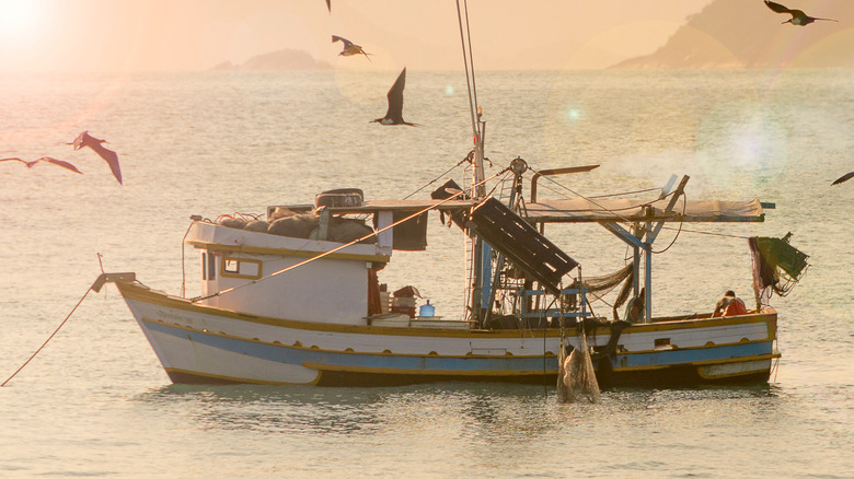 Shrimp boat on the ocean surrounded by birds at sunset.