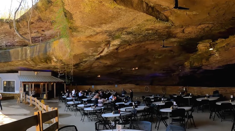 Rattlesnake Saloon, a restaurant in Alabama.