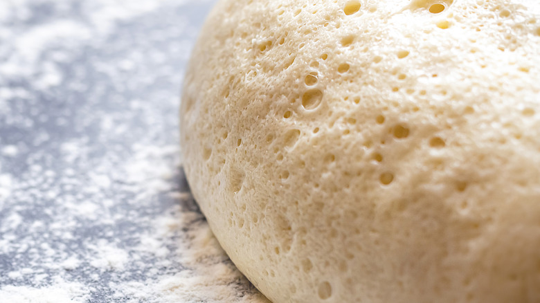Fresh bread dough on a flour-covered surface