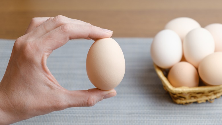 Hand holds up an egg with basket of eggs in background