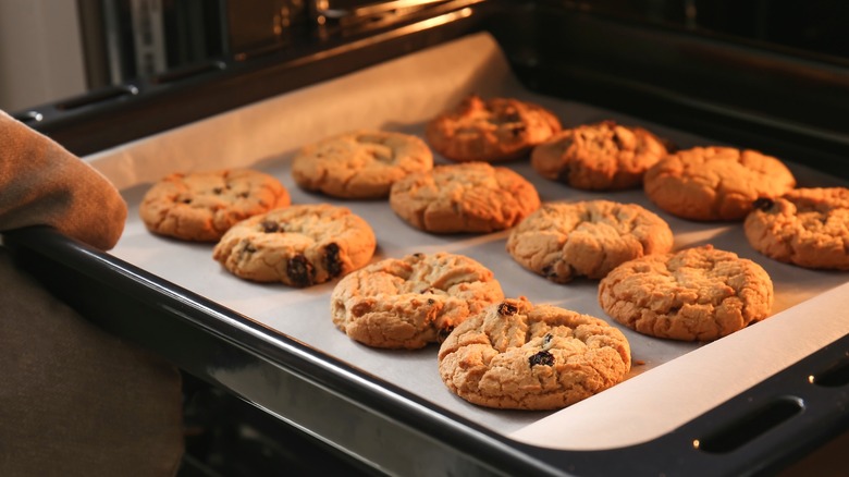 Person pulling tray of cookies out of oven