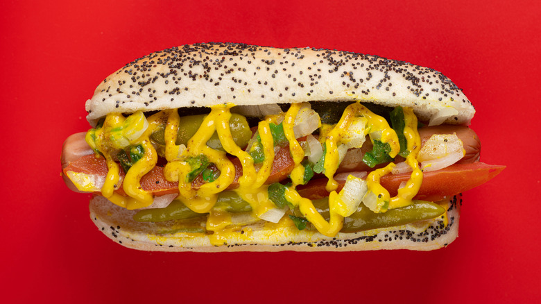 Classic Chicago style hot dog on red background