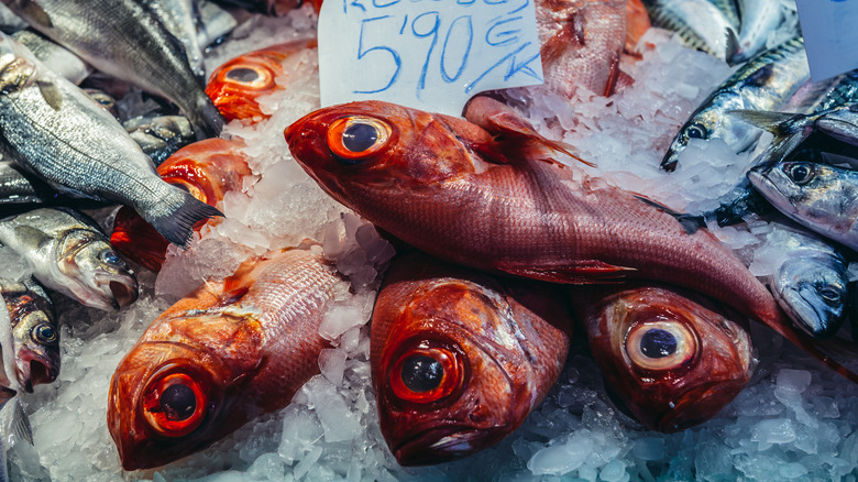 orange roughy fish on ice at market