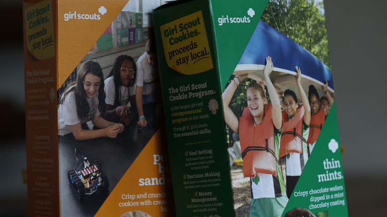 Two different boxes of Girl Scout Cookies leaning against one another.